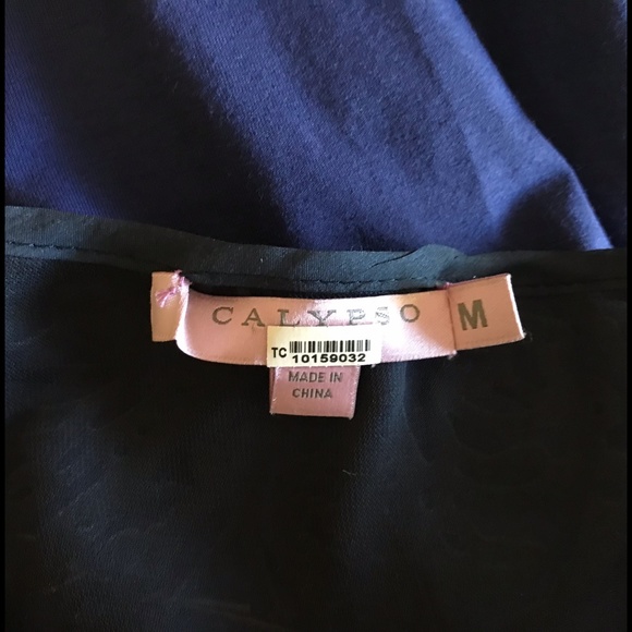 Calypso St. Barth Burnout Silk Diaphanous Tunic w/ Ann Taylor Undershirt… - Picture 9 of 9